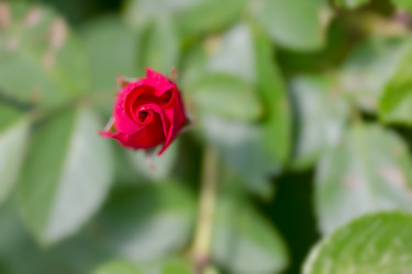 Similar image 21697148