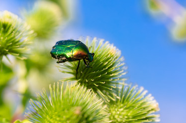 Similar image 21697784