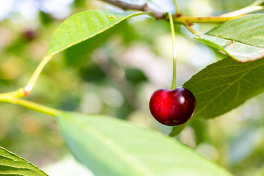 Similar image 21697785