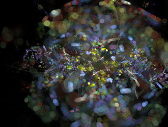 Similar image 21698517