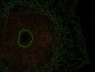 Similar image 21698538