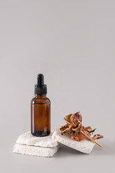 Similar image 21697154