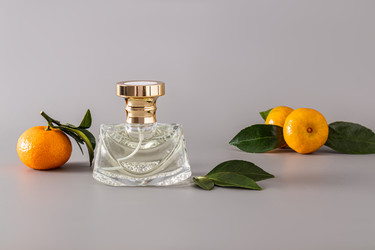 Similar image 21697155