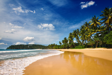 Similar image 21698133