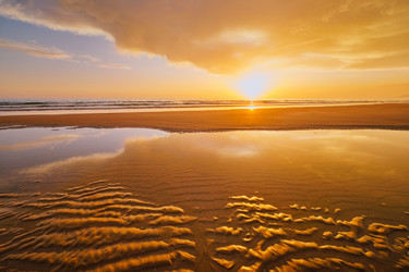 Similar image 21698156