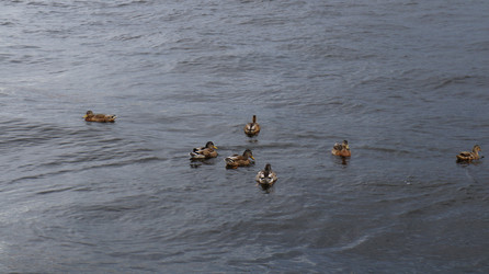 Similar image 21701490