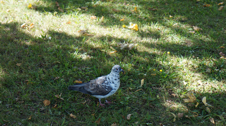 Similar image 21701497