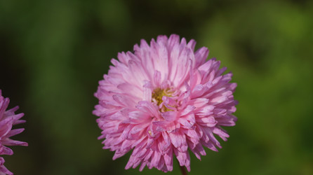 Similar image 21701498