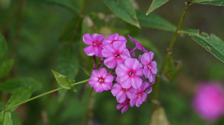 Similar image 21701499