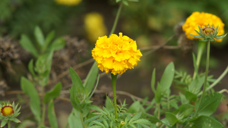 Similar image 21701500