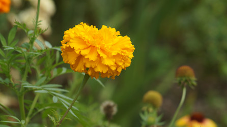 Similar image 21701501