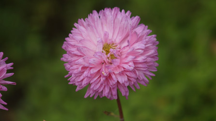 Similar image 21701502