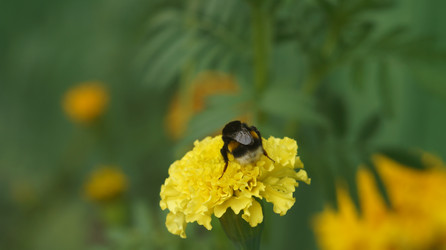 Similar image 21701503