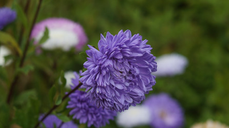 Similar image 21701504