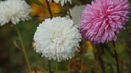 Similar image 21701505