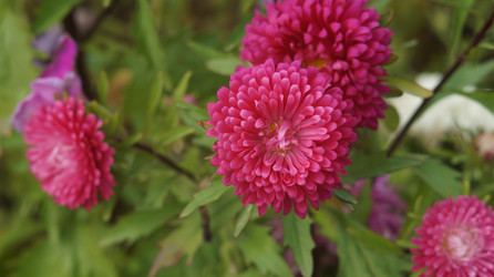 Similar image 21701506