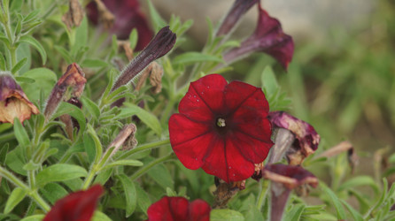 Similar image 21701507