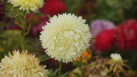 Similar image 21701508