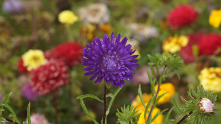 Similar image 21701509