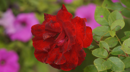 Similar image 21701510