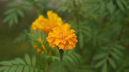 Similar image 21701512