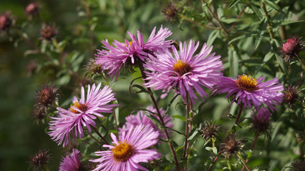 Similar image 21701514