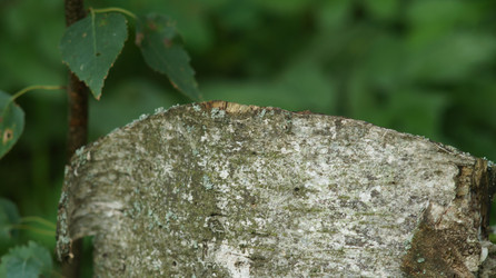 Similar image 21701515