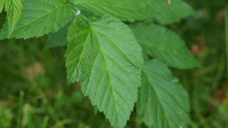 Similar image 21701516