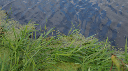 Similar image 21701519