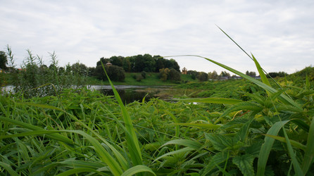 Similar image 21697284