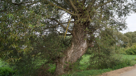 Similar image 21697285