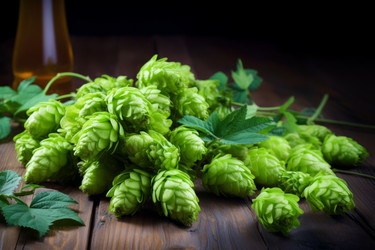 Similar image 21699213