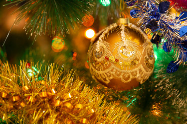 Similar image 21697840