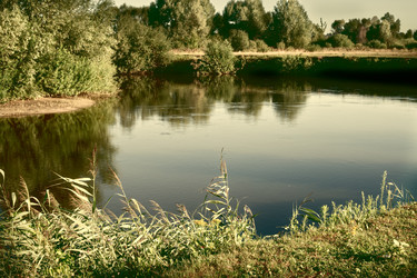 Similar image 21699605