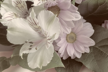 Similar image 21699609