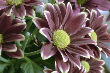 Similar image 21699610