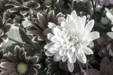 Similar image 21699612