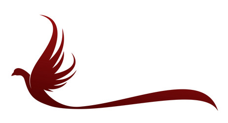 Similar image 21697501