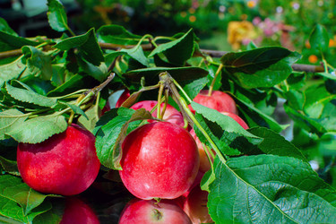 Similar image 21699228