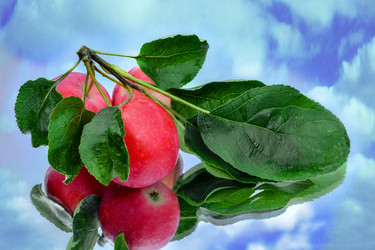 Similar image 21698824