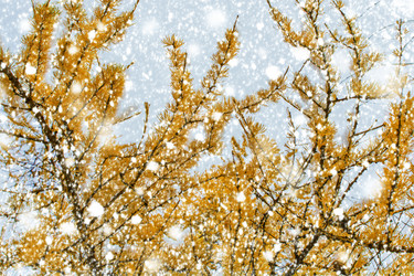 Similar image 21698873