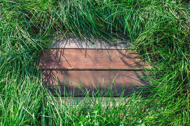 Similar image 21698874