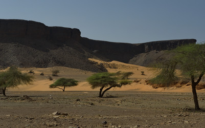 Similar image 21701648