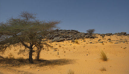 Similar image 21701650