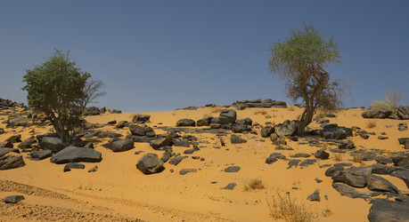 Similar image 21701651