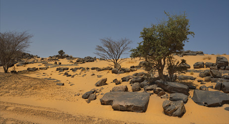 Similar image 21701652