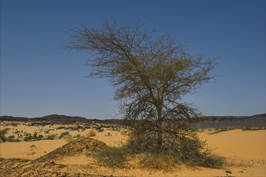 Similar image 21701655