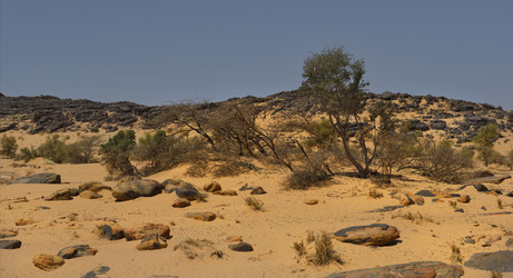 Similar image 21701656