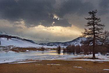 Similar image 21697518