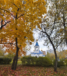 Similar image 21697522